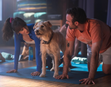 Zooey Deschanel, Charlie Cox, and Gus in Merv.